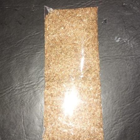 Semillas de Lino x100g