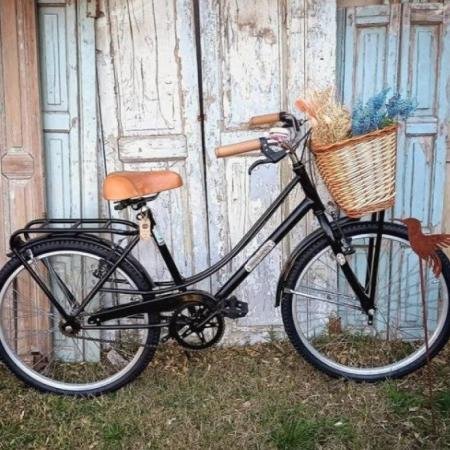 VENDO MI BICI RETRO VINTAGE rodado 26